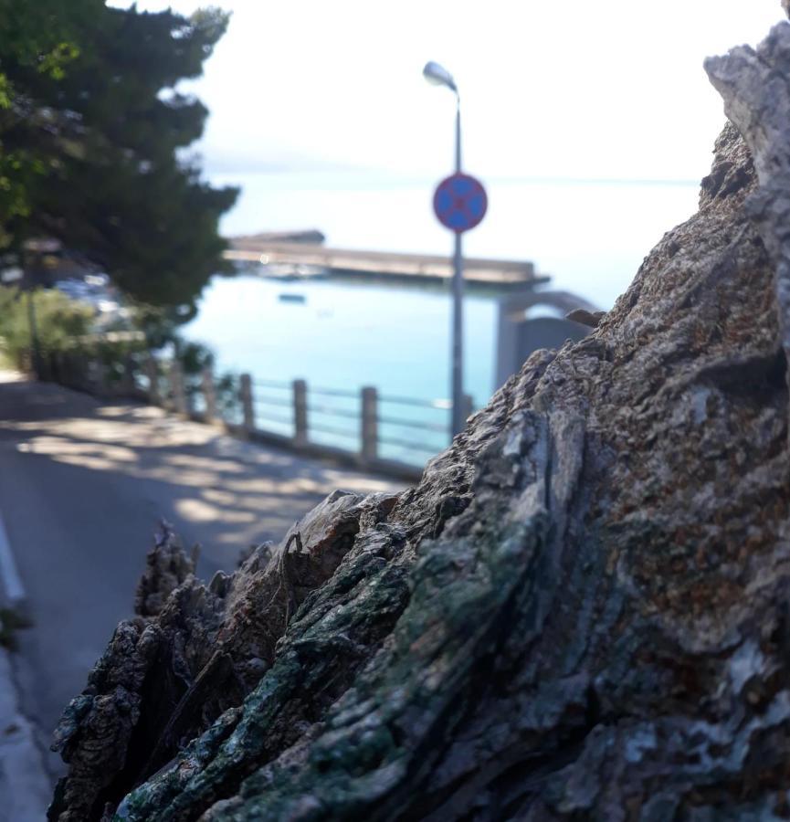 Apartman Maslina Pisak Bagian luar foto
